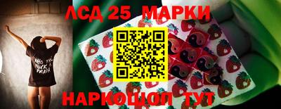 мяу мяу мука Лесосибирск
