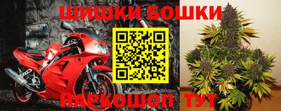 мяу мяу мука Лесосибирск